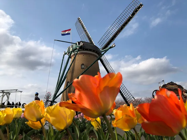 Sakura Furusato Square