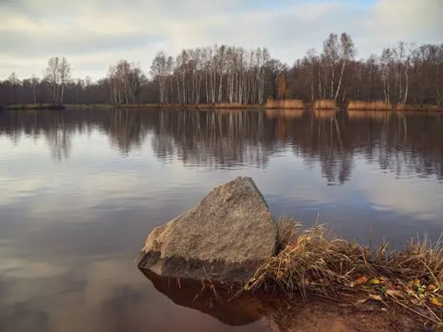 Gosudarstvennoye Byudzhetnoye Uchrezhdeniye Kul'tury "Park Kul'tury I Otdykha "Dubki""