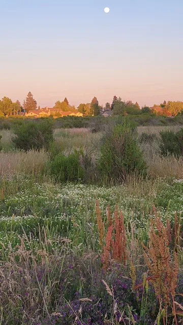 North Laguna Creek Wildlife Area