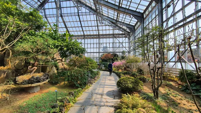 photo-2