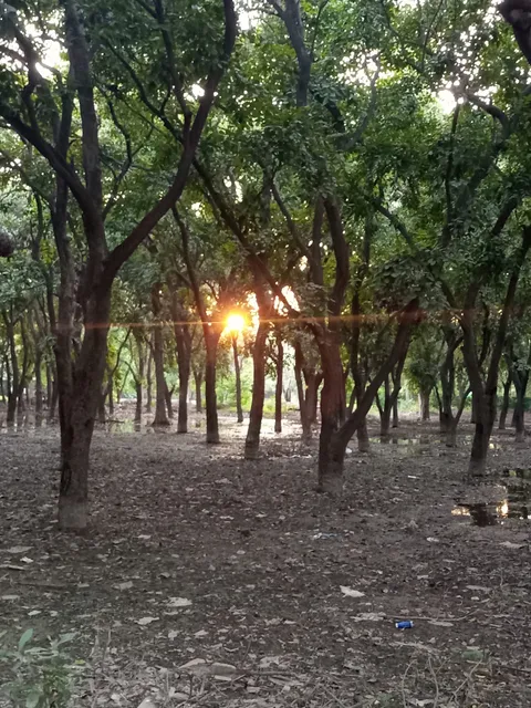 Jam-e-Shirin Park Lahore