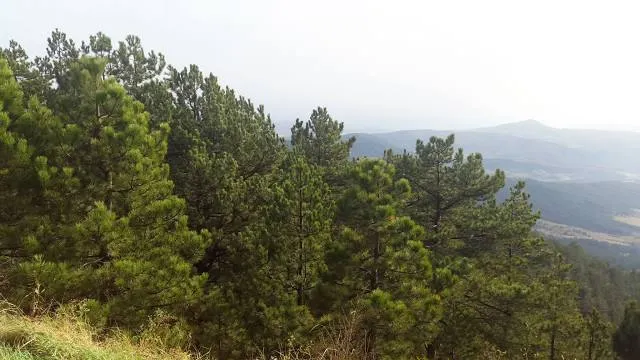 Kosjeric Municipality