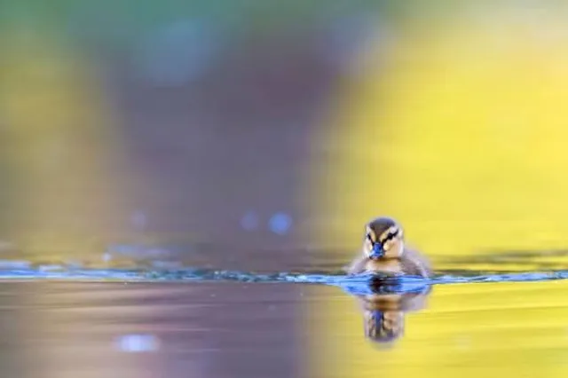 Naturpark Fläming/Sachsen-Anhalt