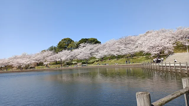 Fujiyamakenkobunka Park