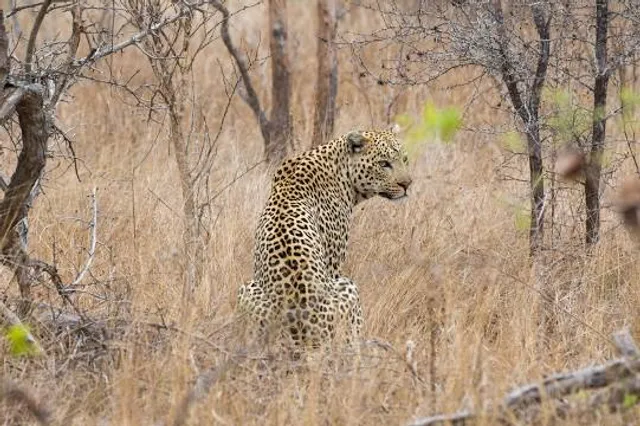 Stolp zdravja in veselja na Rudnici
