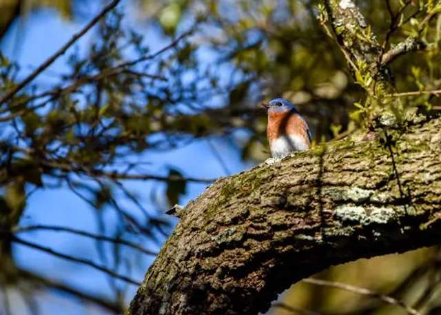 Museo de Ciencias Naturales Anibal Montes
