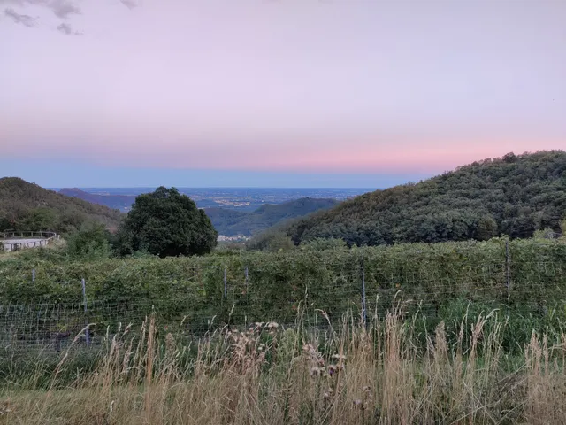 Sentiero del Monte Venda n.4 "G. G. Lorenzoni"