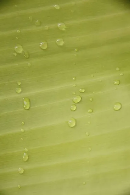 Palliser Regional Park