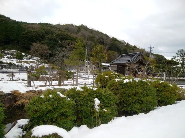 photo-2