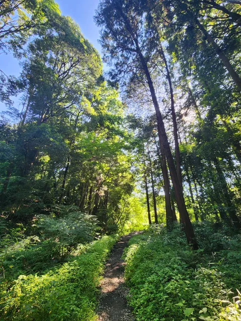 Seya Mujinakubo Park