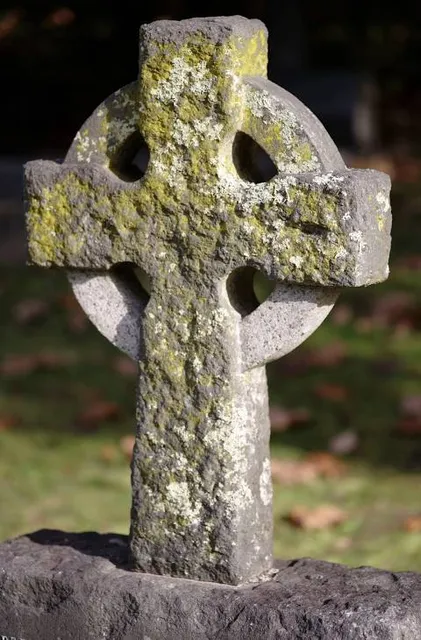 Naia Museum, Musée-Galerie des Arts de l'Imaginaire