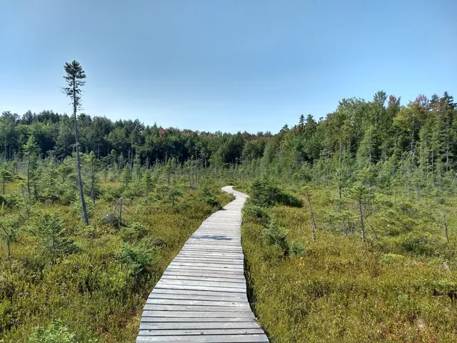Parc écoforestier de Johnville