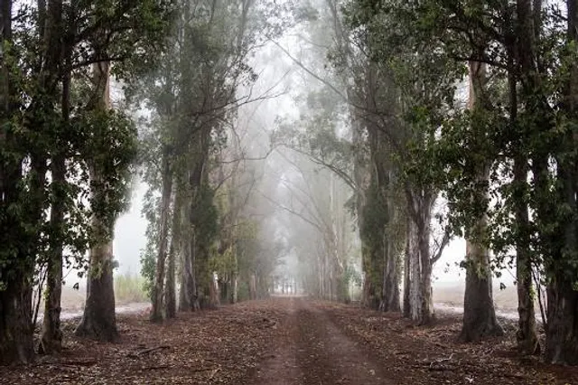 Federico Albert National Reserve