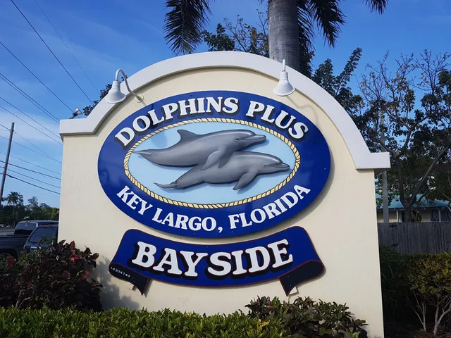Dolphins Plus Bayside