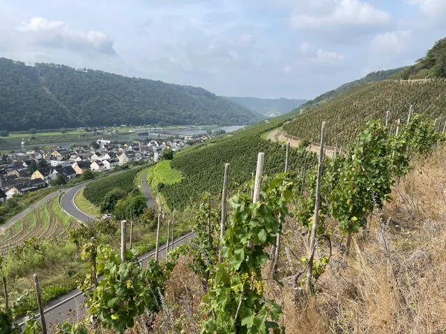 WeinWanderWeg