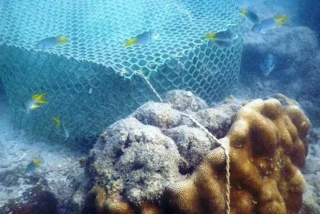 Tharuvai Kulam Beach