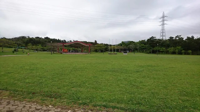 photo-1