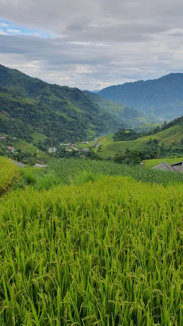 Đỉnh Tây Côn Lĩnh