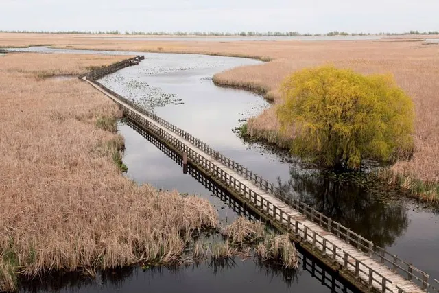 Point Pelee National Park