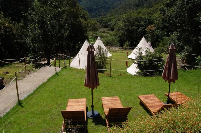 Nature Retreat - Laurel Forest