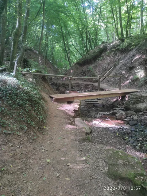 Mühlenbach-Schluchten-Tour