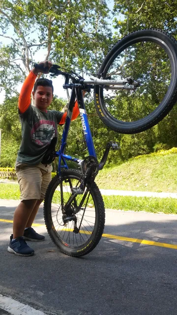 Lineal Milla Verde Park