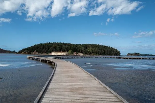 Vjosë-Nartë Delta Protected Area