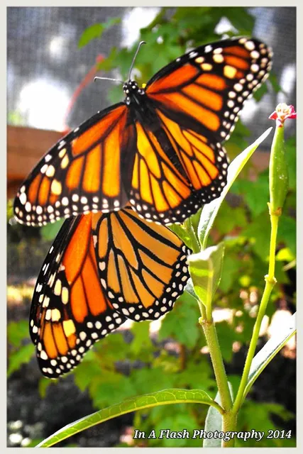Rusk Ranch Nature Center