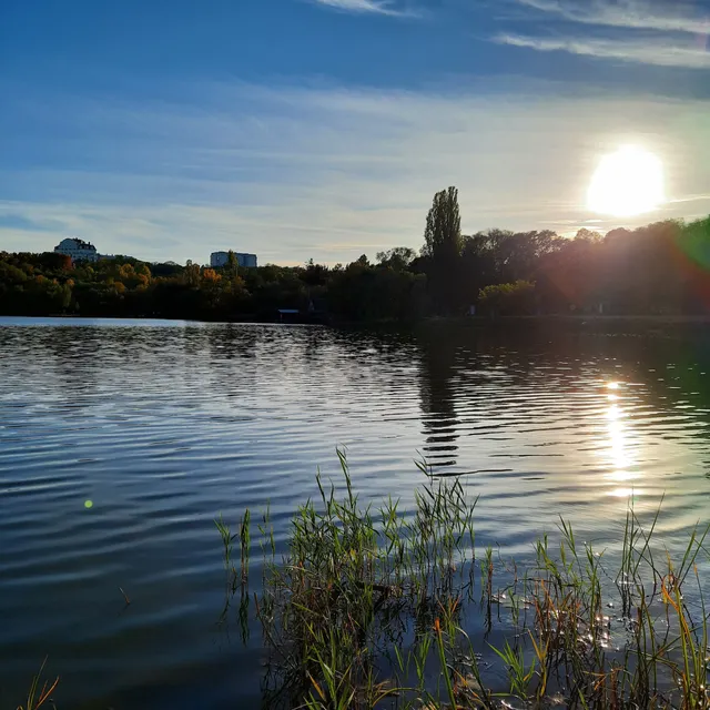 Parcul Valea Trandafirilor