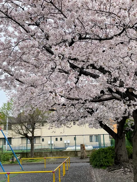 Tsunashimahigashi Nichome Park