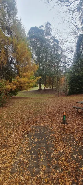 Ivon Wilson Recreational Reserve