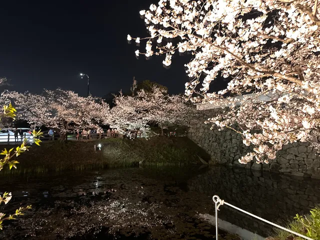 Maizuru Park - Sannomaru Plaza