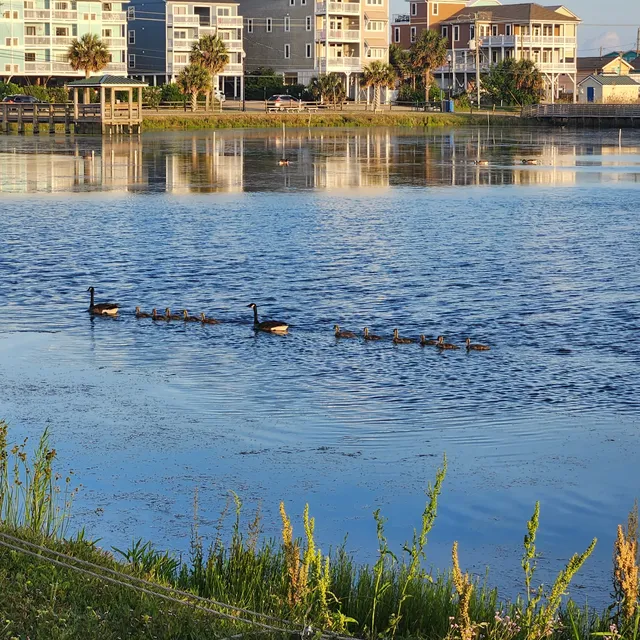 Carolina Beach Lake Park