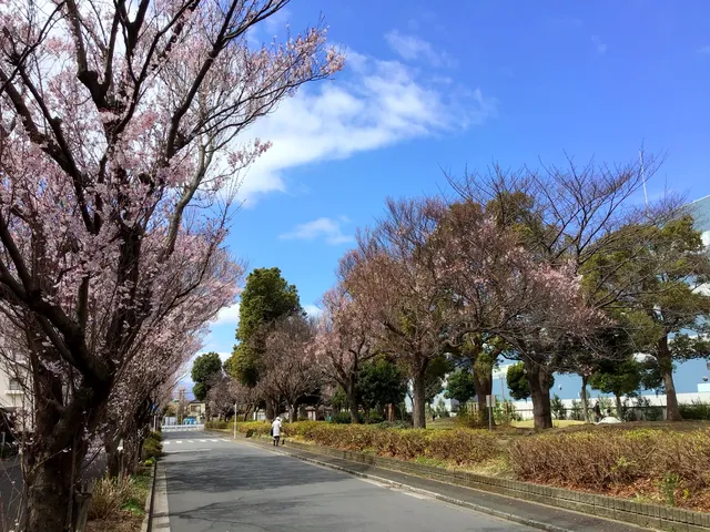 Higashiharasakura Park