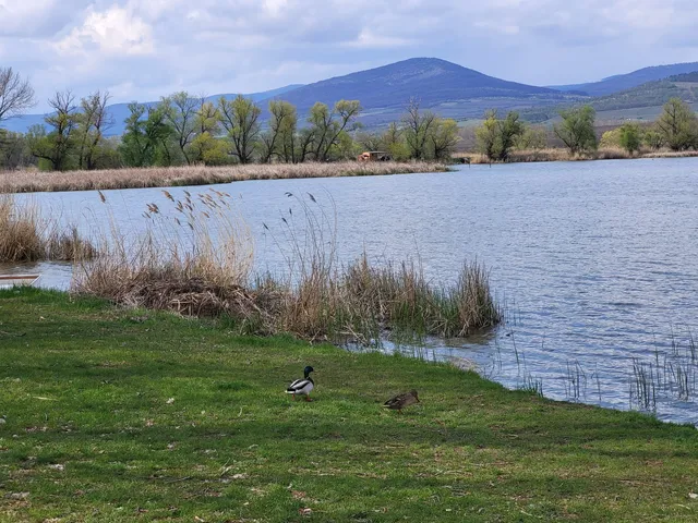 Nagyrédei Horgásztó