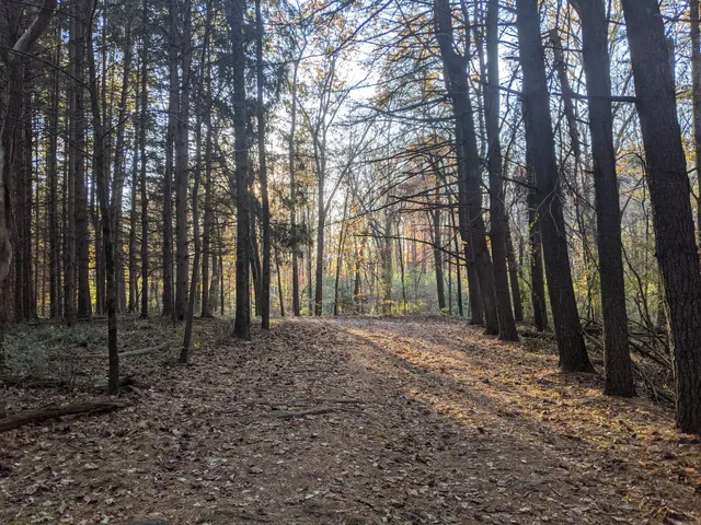 Middle Paxton Township