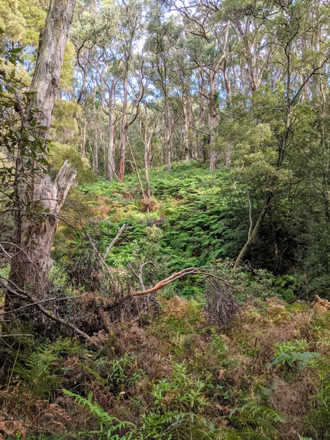 Baldry Crossing Picnic Area