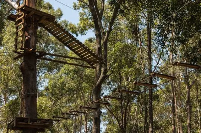 Fly Emotion Aerobosco