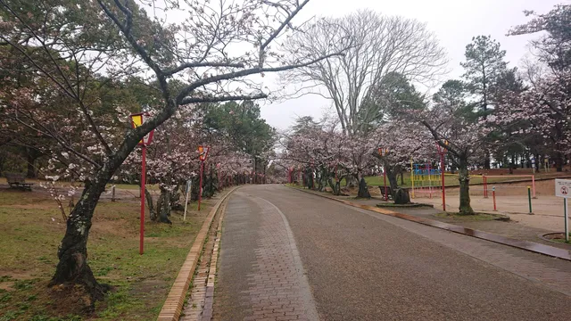Hiokayama Park