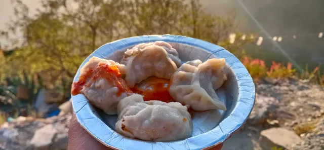 Veg Momos