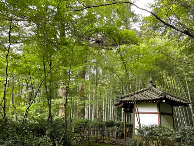 Takiguchidera Temple