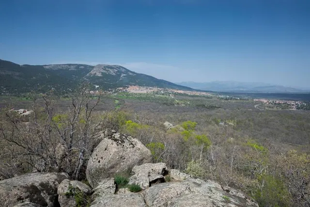 El Bosque De La Herrería
