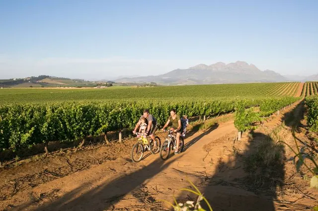 Museum of the Vine and Wine