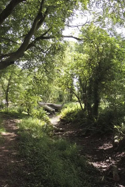 Regional Park Ballincollig