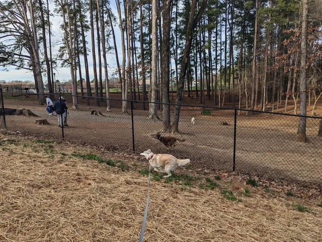 Canine Commons Dog Park