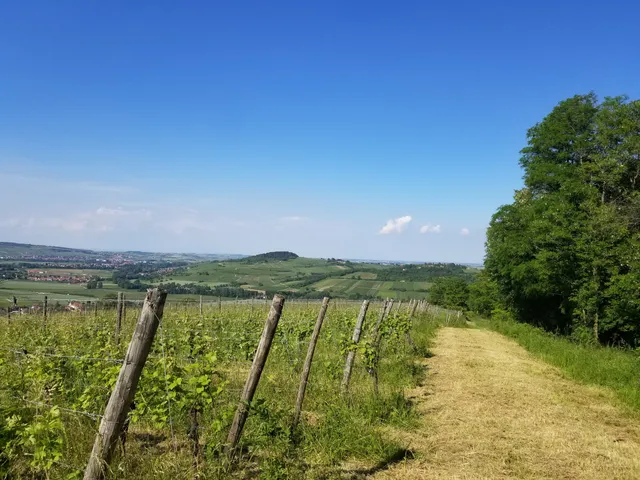 Sentier des Casemates