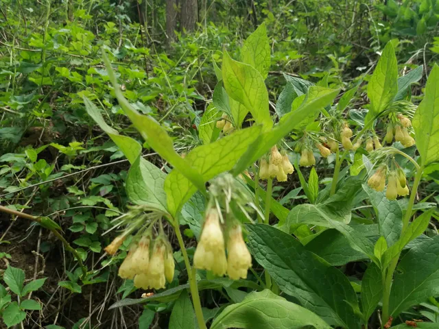 Parco naturale P.L.I.S. delle Valli di Recoaro