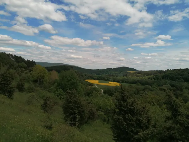 Premiumweg P25 Kleinalmerode