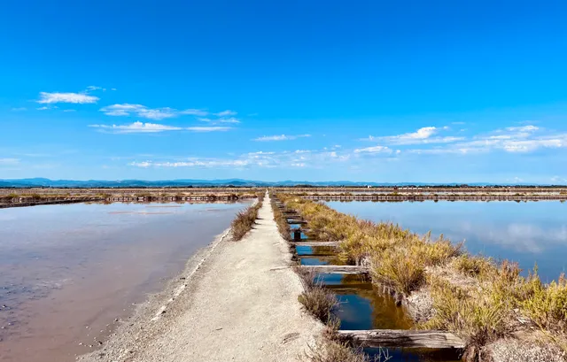 Centro Visite Salina di Cervia