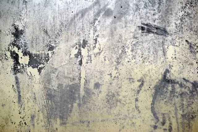 شاطئ القرم Mangrove Beach